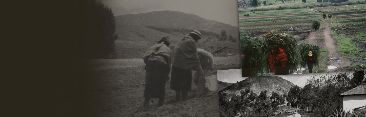 Corner of the Dead, a novel by Lynn Lurie