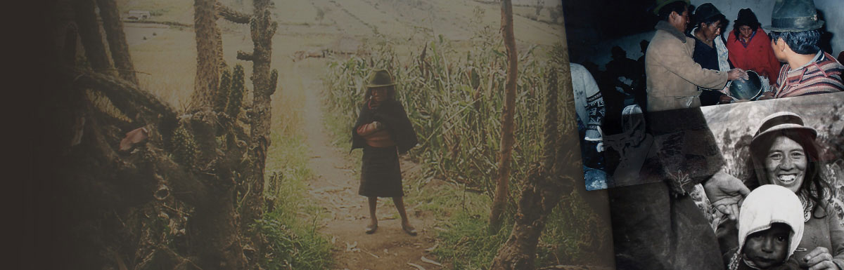 Corner of the Dead, a novel by Lynn Lurie