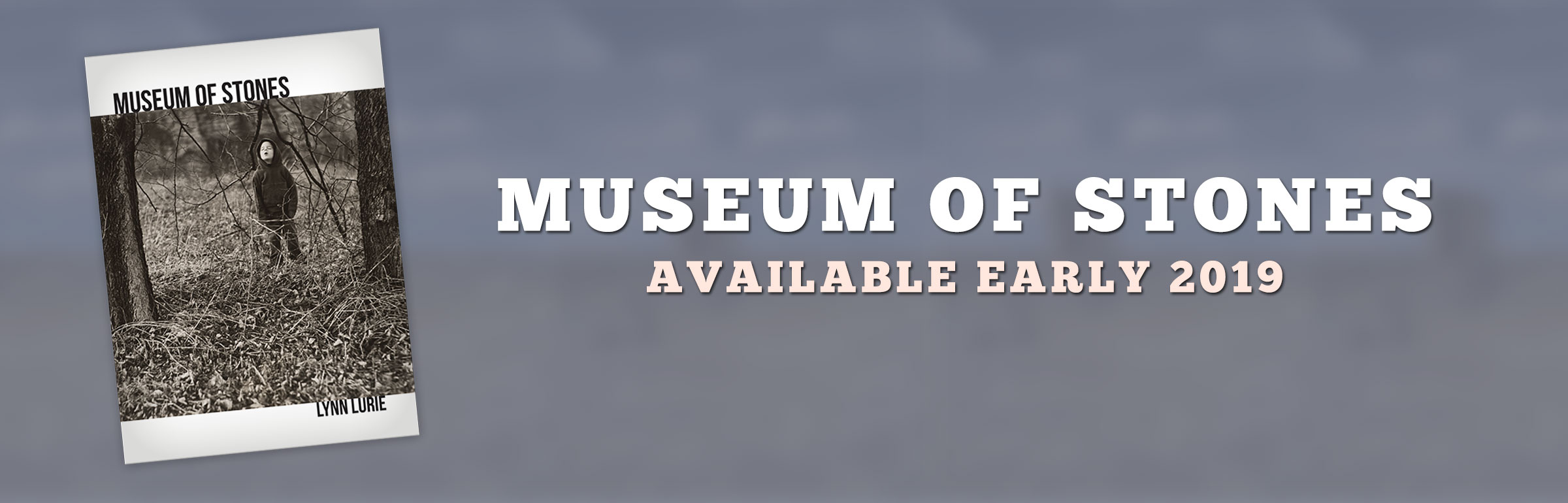 Museum of Stones, the latest novel by Lynn Lurie is out Early 2019